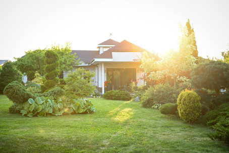 house and garden stock